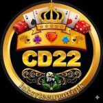 CD22 Game
