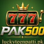 Pak500 Game