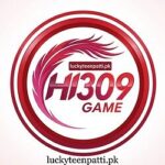HI309 Game