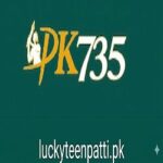 PK735 Game