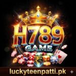 H789 Game