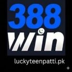 388 Game